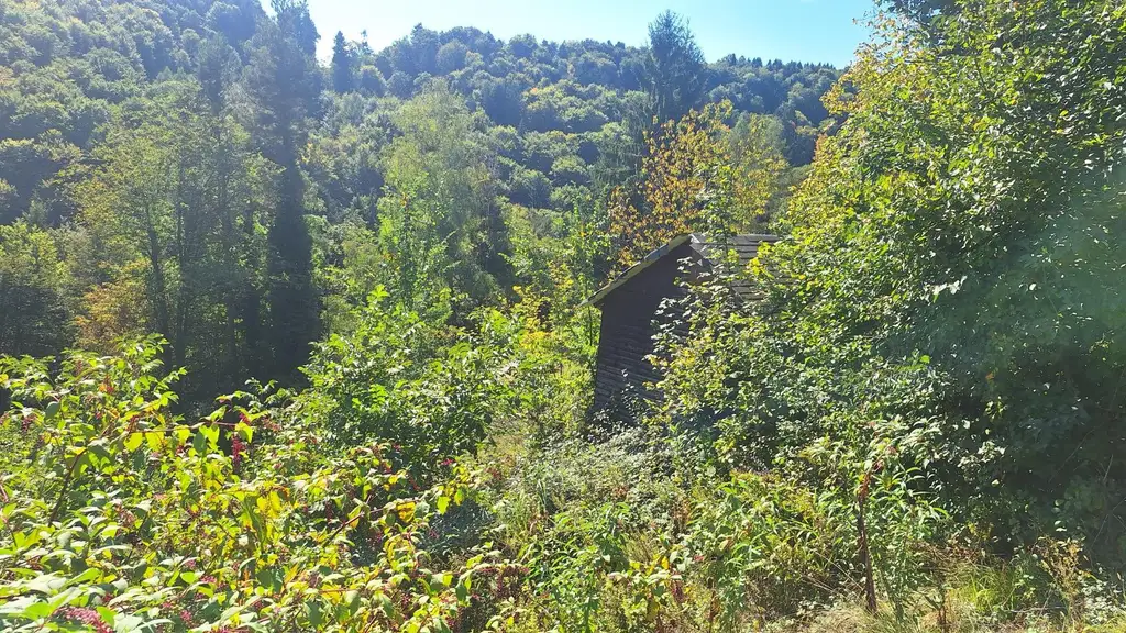 Traumhaftes Baugrundstück in Kranachberg bei Gamlitz – Ihr Platz an der Sonne