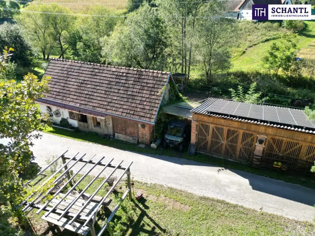 SENSATIONELLES JUWEL! Exklusiver Vierkanthof im Thermenland Steiermark – Wohnen, Reiten & Leben mit Pool und Natur!