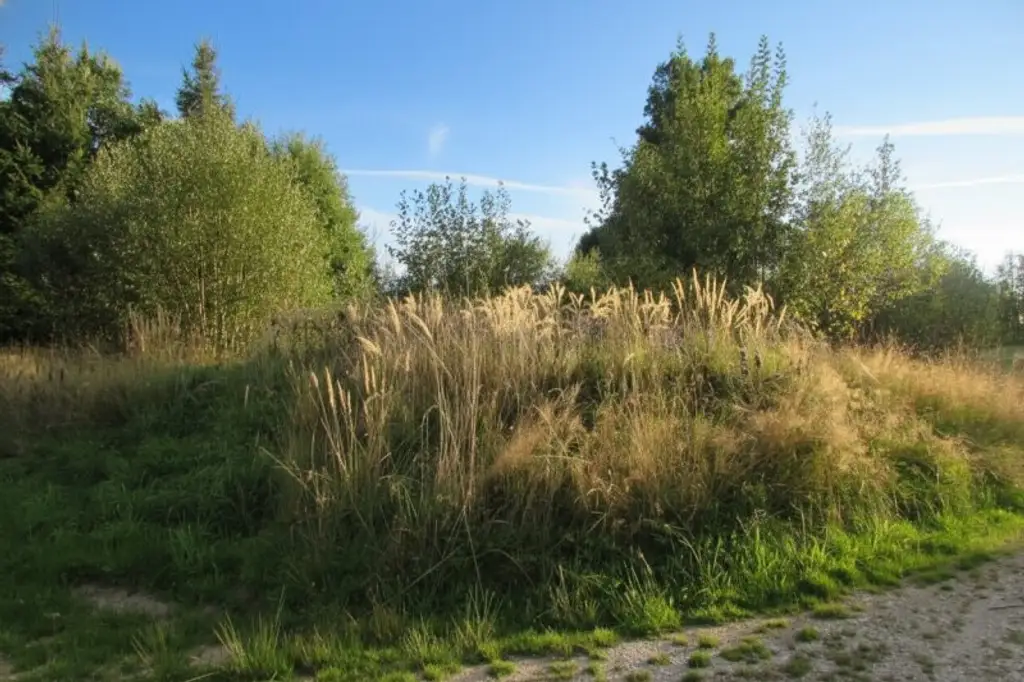 *****Fischteiche im nördlichen Waldviertel*****