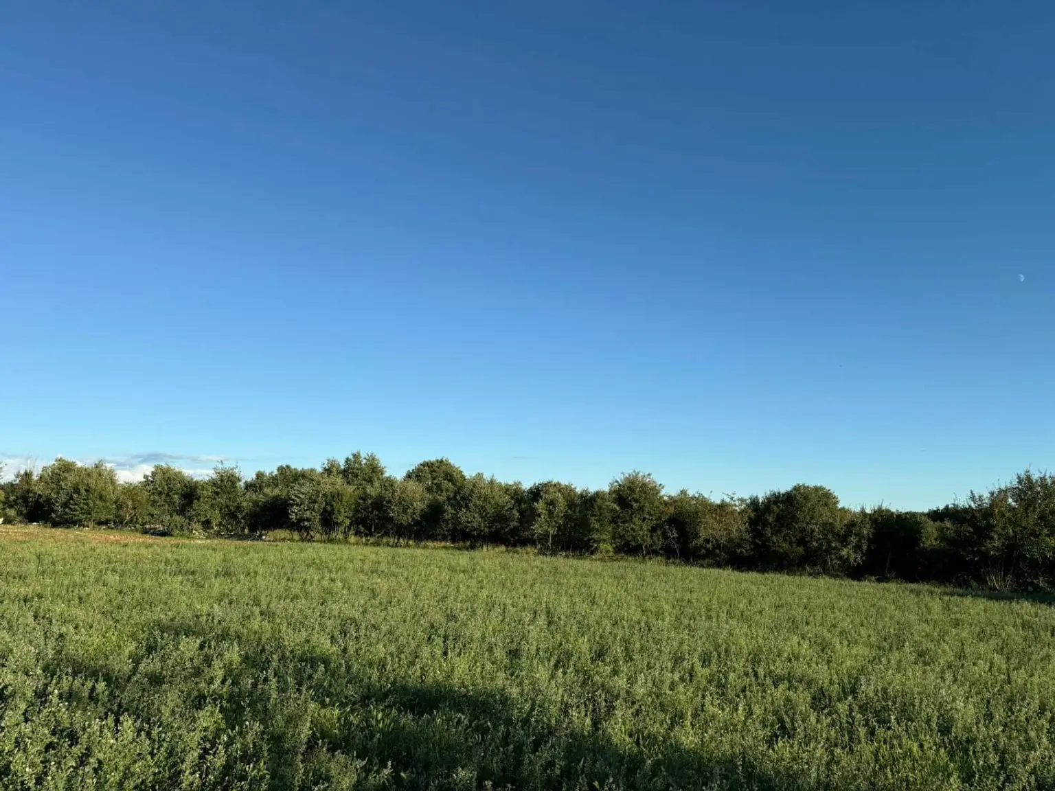 Kroatien-Istrien: Tolle küstennahe Baugrundstücke in traumhafter Naturlage