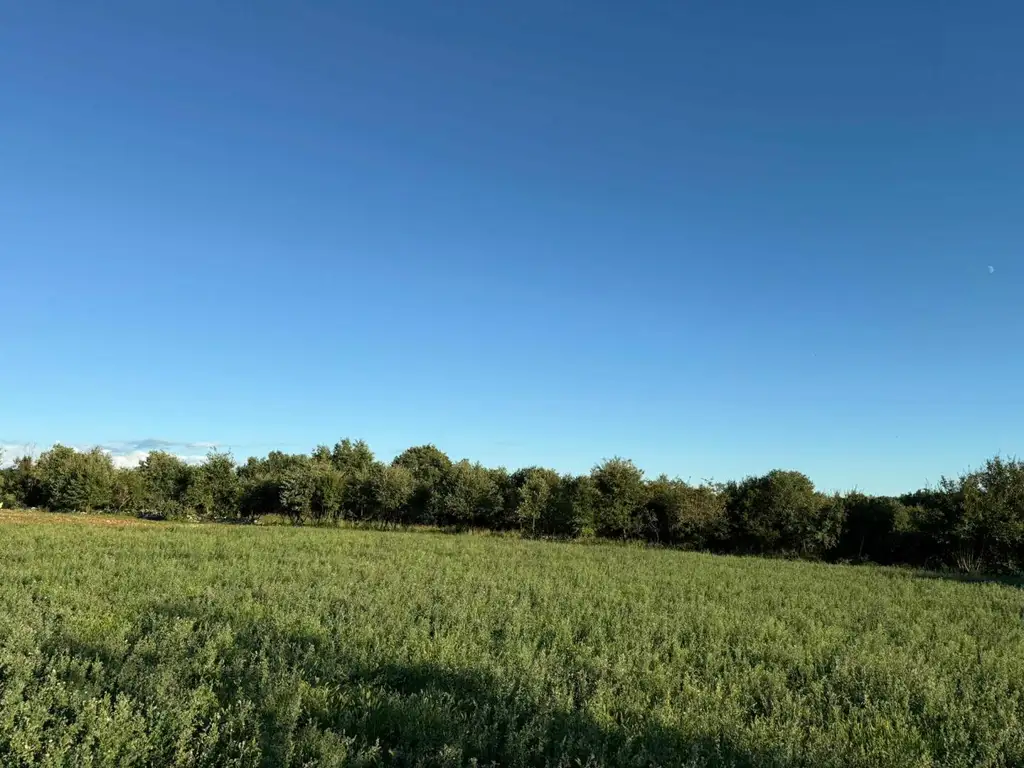 Kroatien-Istrien: Tolle küstennahe Baugrundstücke in traumhafter Naturlage