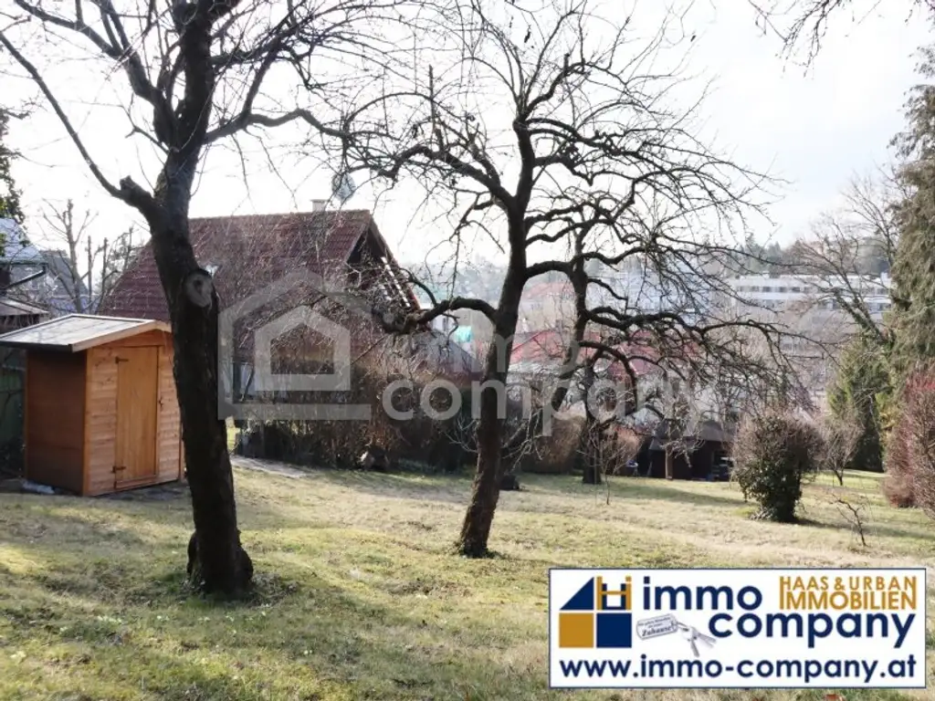 ES GIBT FÜR ALLES EINEN GRUND - wir haben gleich 3 davon…