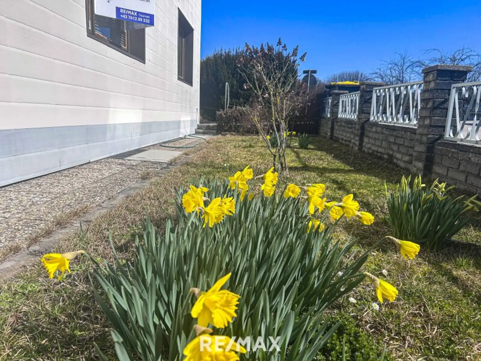 Der Frühling kommt....