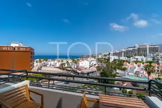 Studio-Las-Americas-xxx-Teneriffa-14
