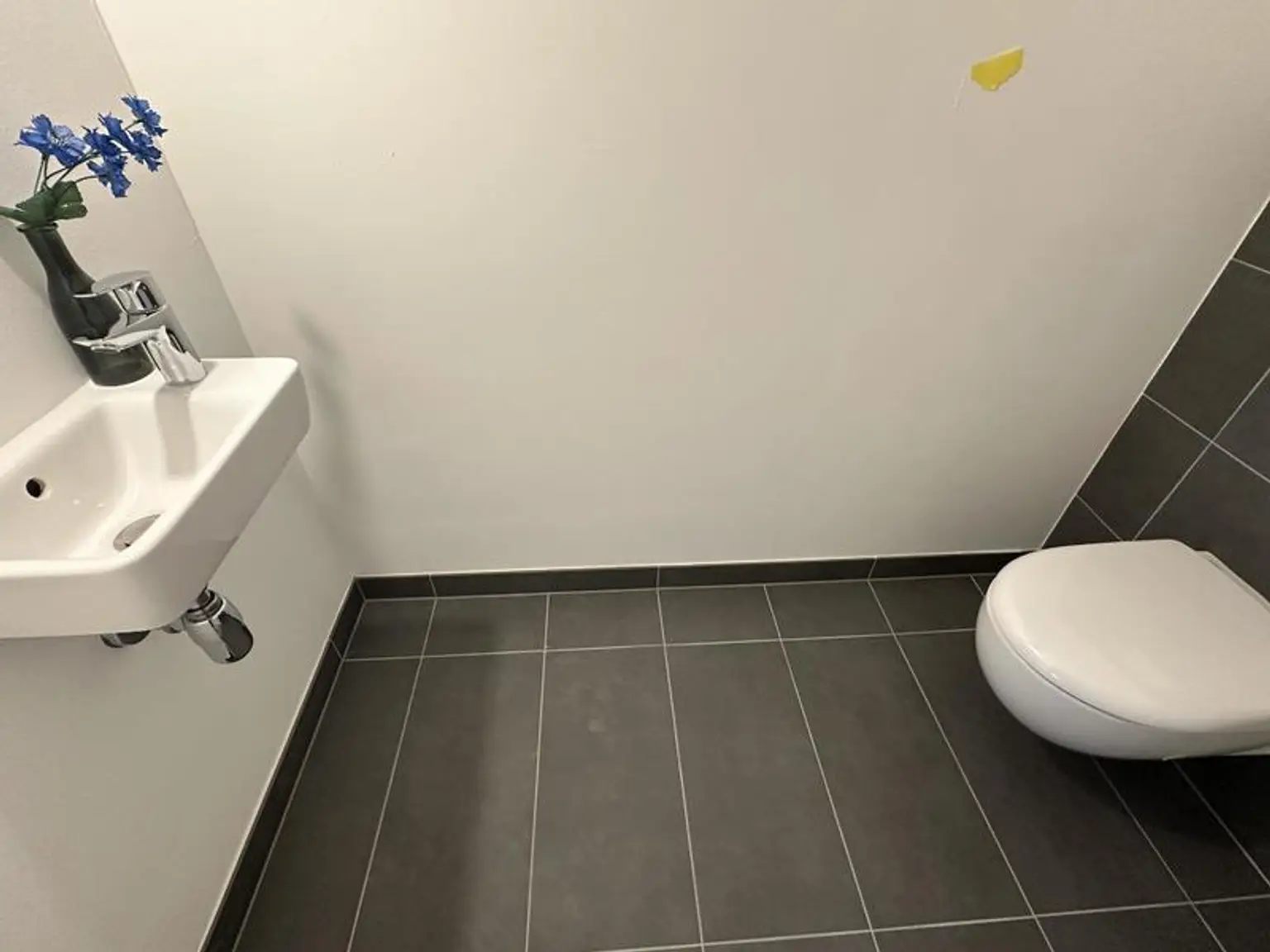 einen Katzensprung von Wien entfernt