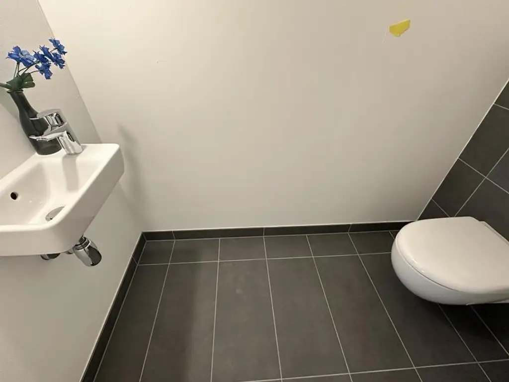 einen Katzensprung von Wien entfernt