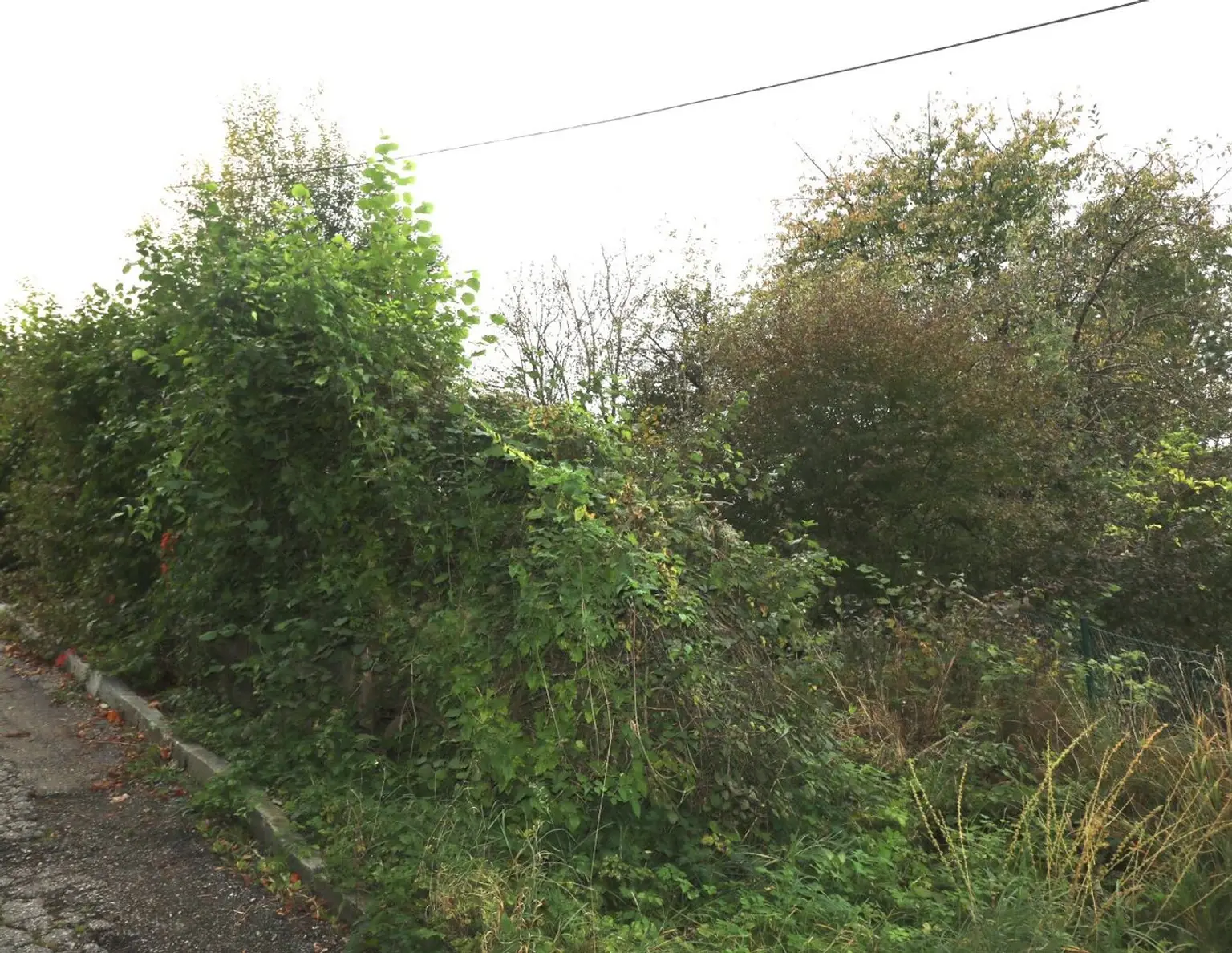 Baugrundstück in ruhiger Lage in Wolfern - kein Bauzwang, kein Bebauungsplan