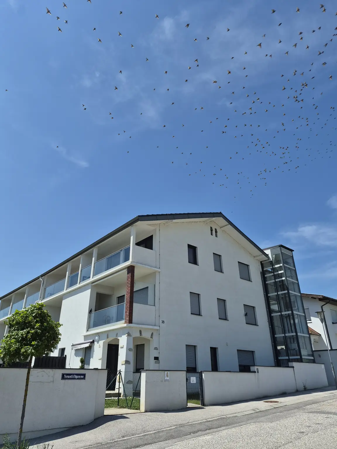 Attraktives Investment - 3 Zimmer Gartenwohnung im Neusiedlerseegebiet