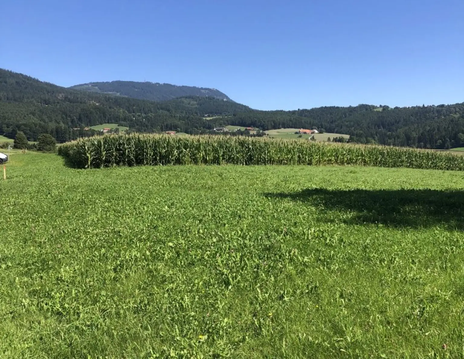 Baugrundstück 800 m² Ganztagssonne TOPLAGE in 8045 Weinitzen mit Schöcklblick