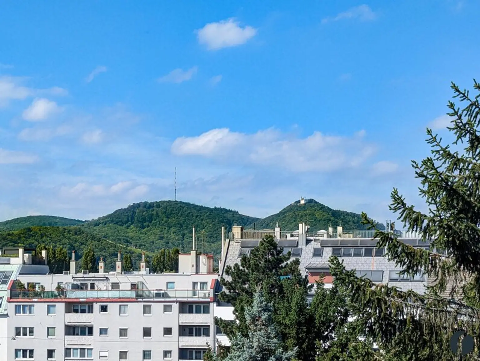 Der Kahlenberg zum Greifen nah!