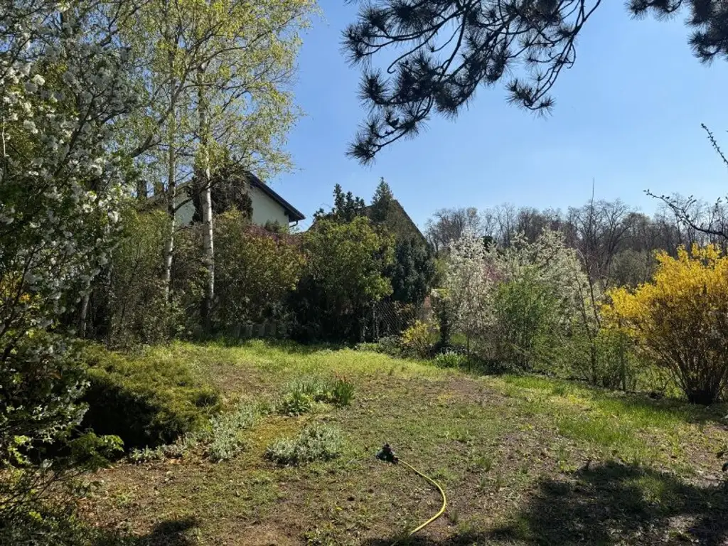 Neues, geräumiges Einfamilienhaus mit Garten in ruhiger Wohnsiedlung nahe Mistelbach (!) 2-Generation-Wohnhauseignung (!)