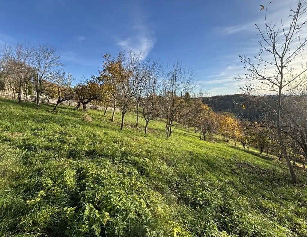 6.026m² Land und Forstwirtschaftliche Fläche in Ruppersdorf