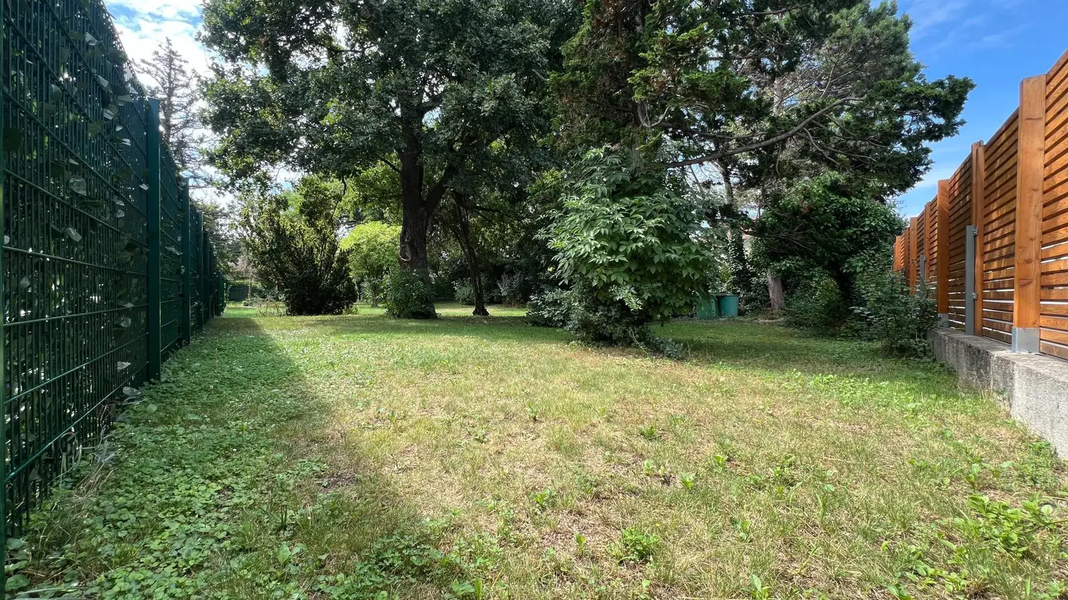 -20000434_1003896024_16040787