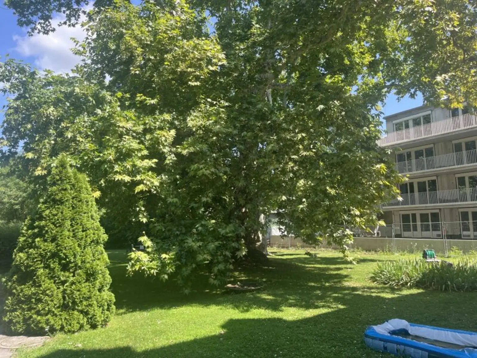 Eigentumswohnung mit viel Charme und Geschichte