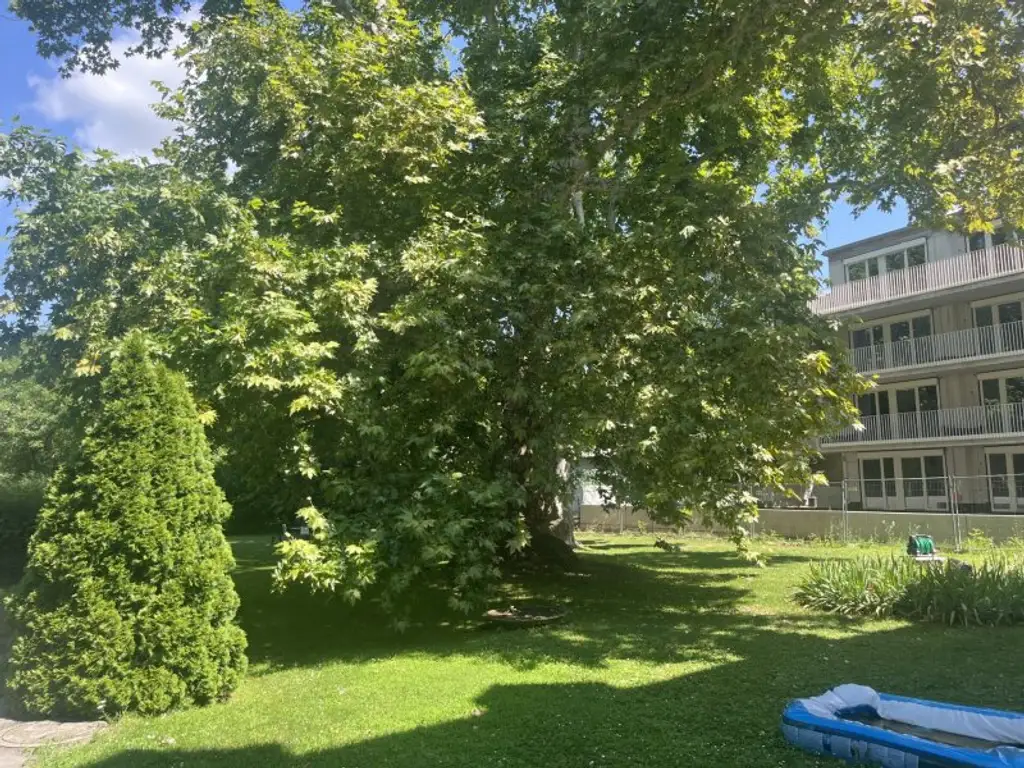 Eigentumswohnung mit viel Charme und Geschichte