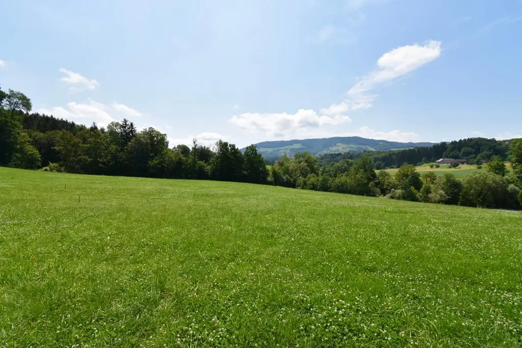 Wohnen im Grünen & doch stadtnah! 881m²  Baugrund mit traumhaftem Ausblick in ruhiger/grüner Lage!