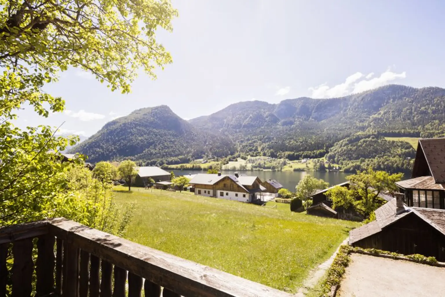 Faszinierender Blick