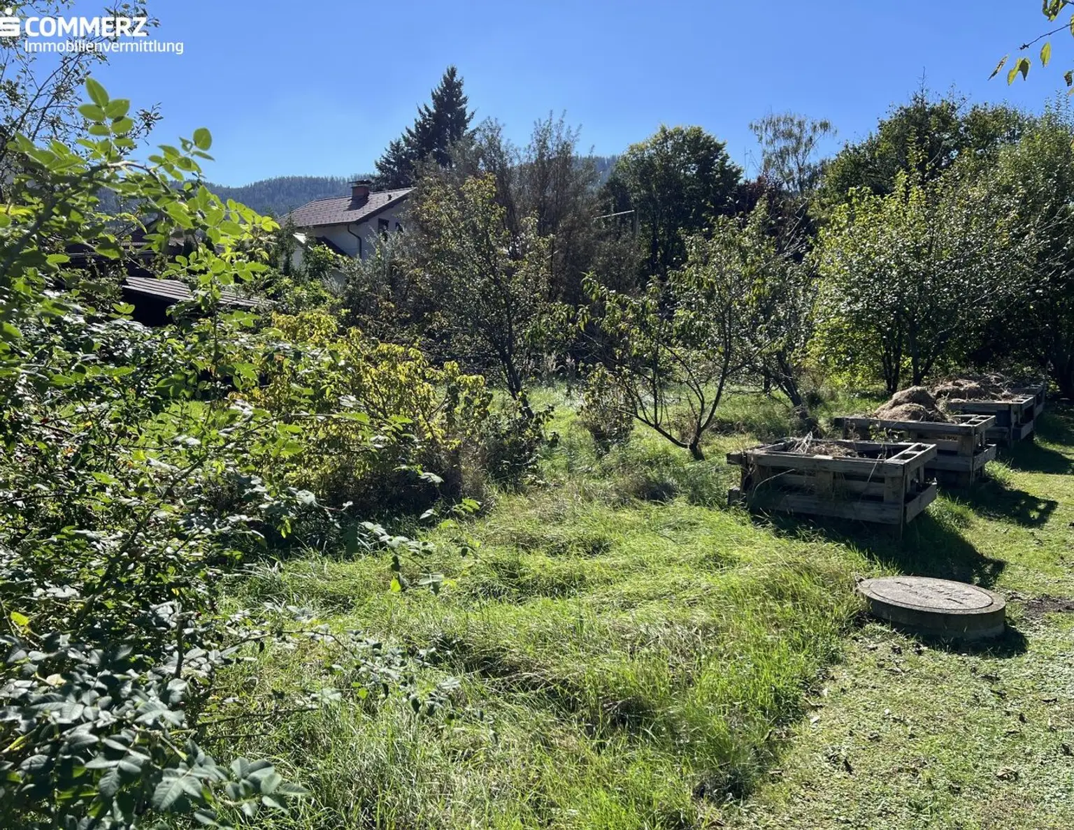 Grünblick in Pettenbach