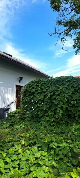 Sanierungsbedürftiges Haus mit Garage und Grünblick in Deutsch Goritz – Ihr neues Projekt!