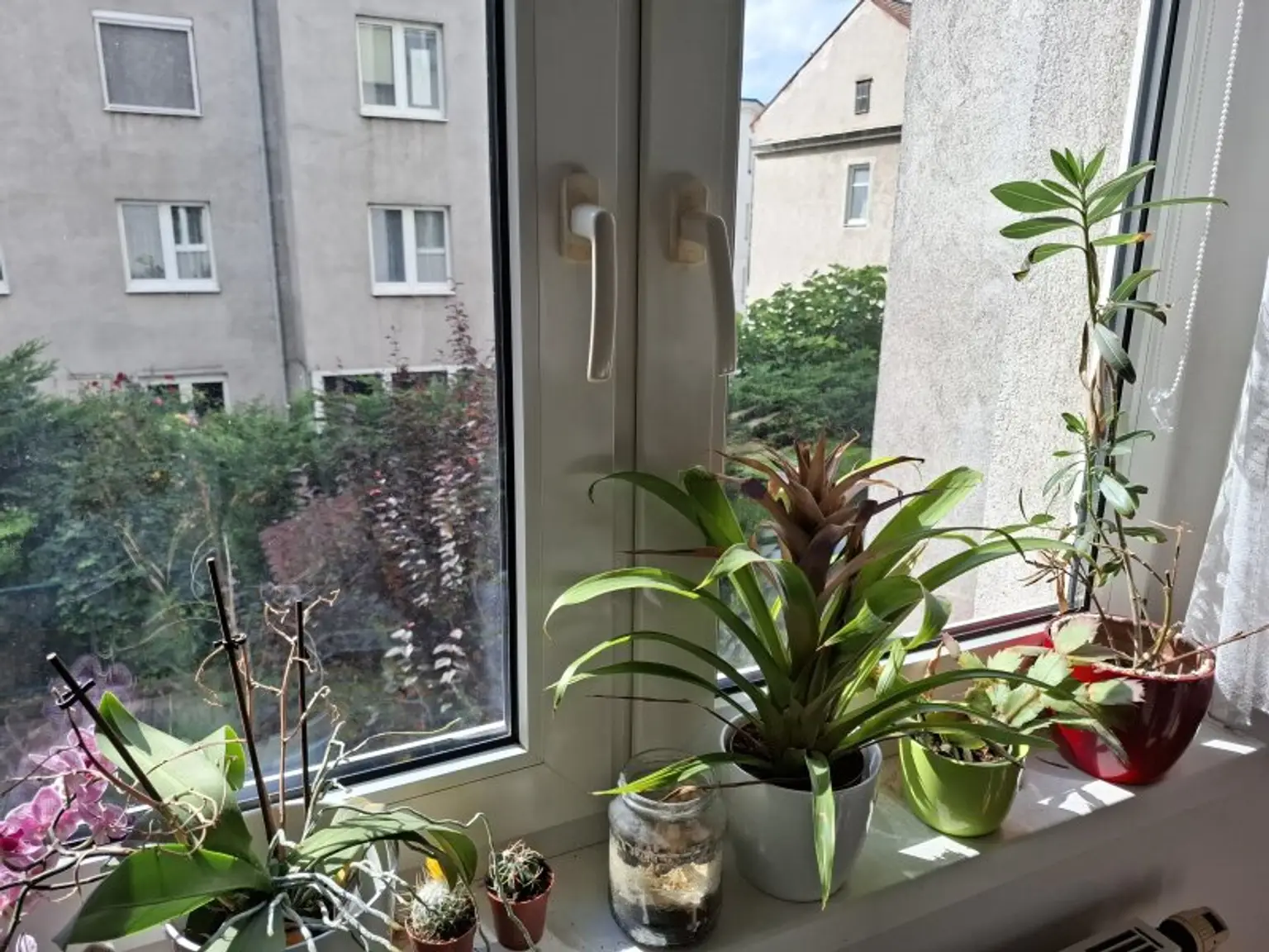 3 ZIMMER  WOHNUNG - HELL und RUHIG ab 01.10.2025