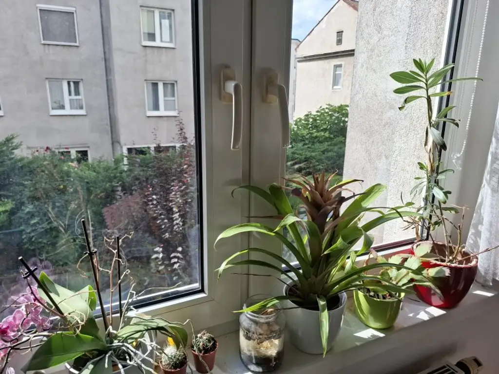 3 ZIMMER  WOHNUNG - HELL und RUHIG ab 01.10.2025