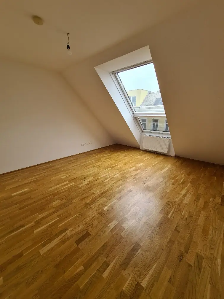 Zimmer IV