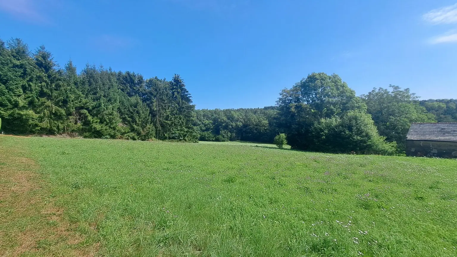 Grundstück Richtung Osten