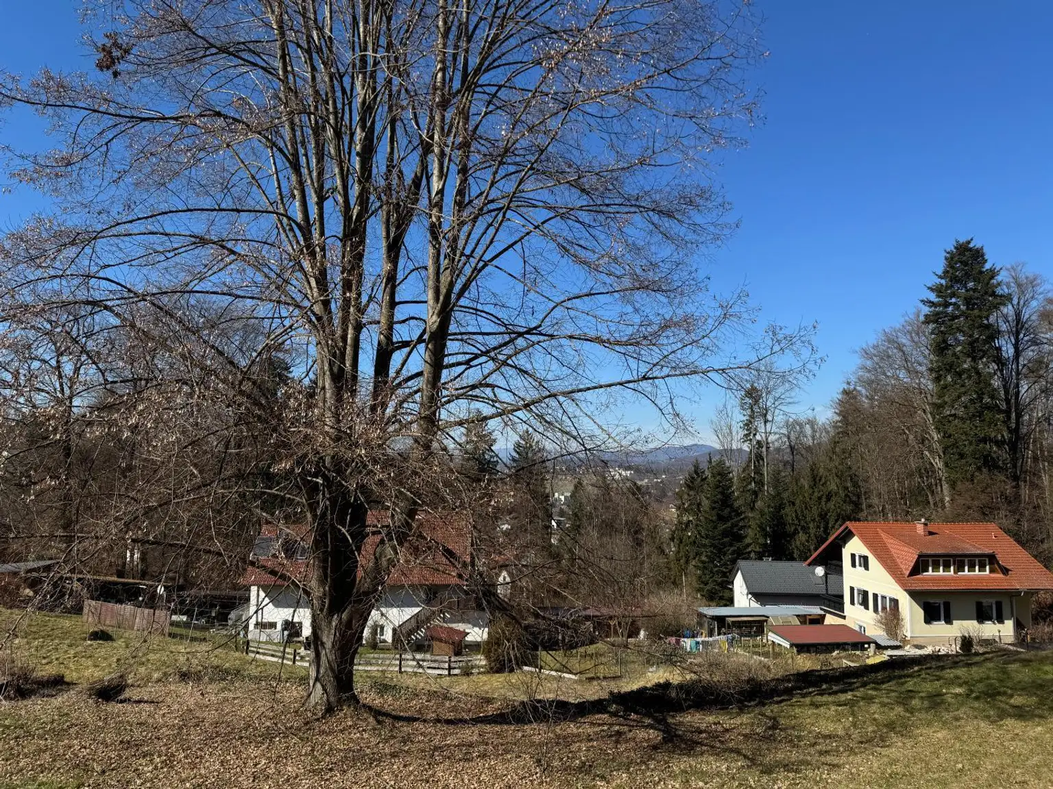Weitblick