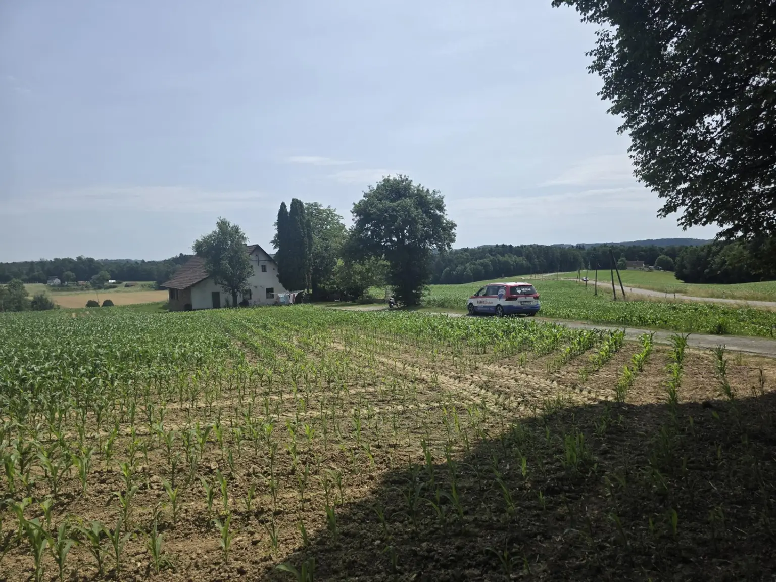 Bauernhaus (stark sanierungsbedürftig) mit viel Grund und kleinem Teich
