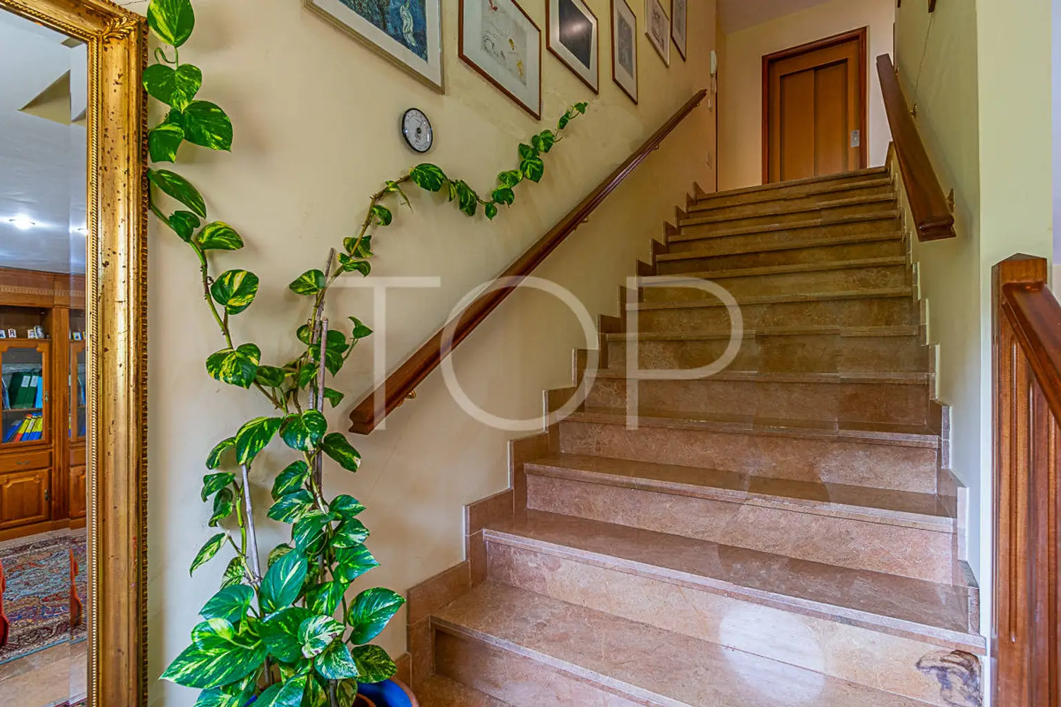 Haus-Tamaimo-Treppe-Teneriffa