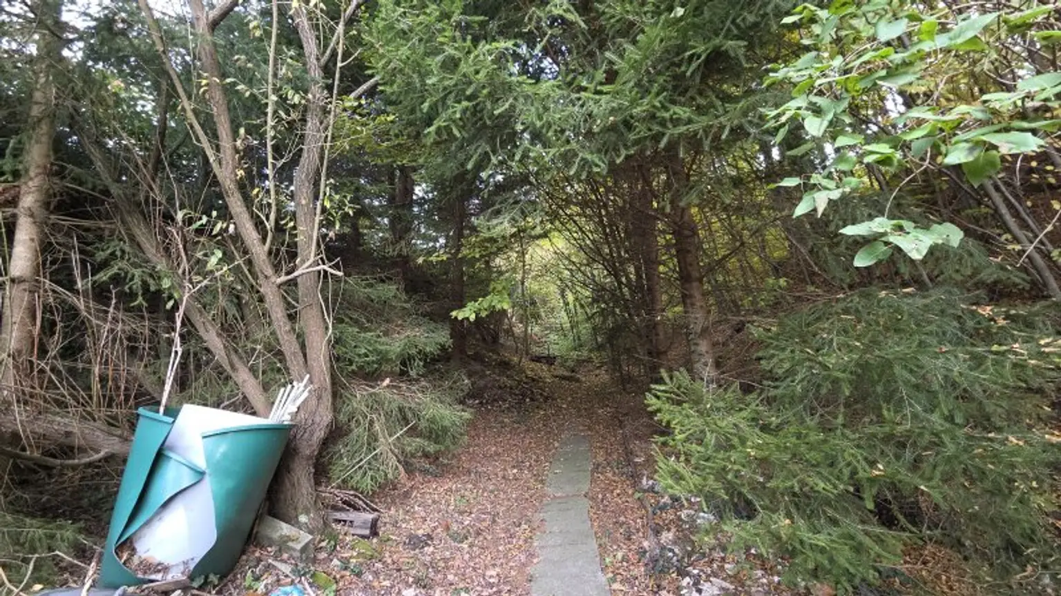 Ein/Zweifamilienhaus * teilweise renoviert * direkt am Wald gelegen * Ruhelage