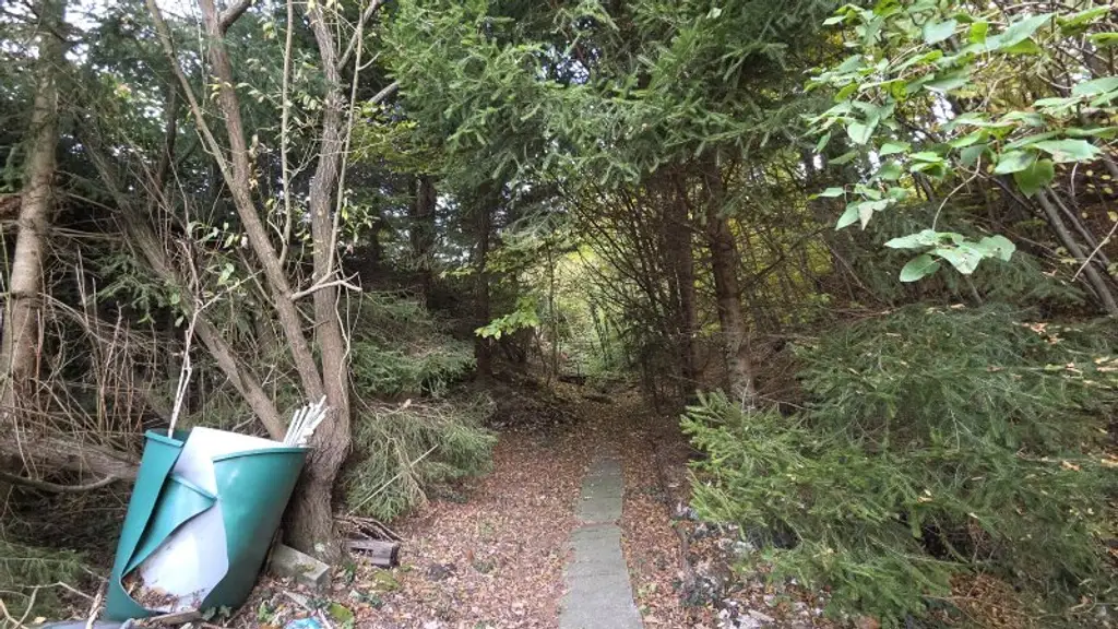 Ein/Zweifamilienhaus * teilweise renoviert * direkt am Wald gelegen * Ruhelage