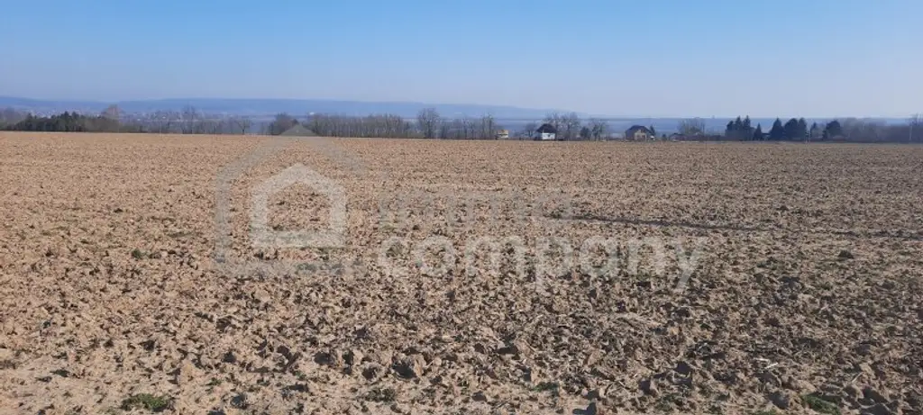 Einmalige Gelegenheit großer Grund mit Bohrrecht Thermalwasser - Unique opportunity to acquire large land near Heviz with drilling rights for thermal water.