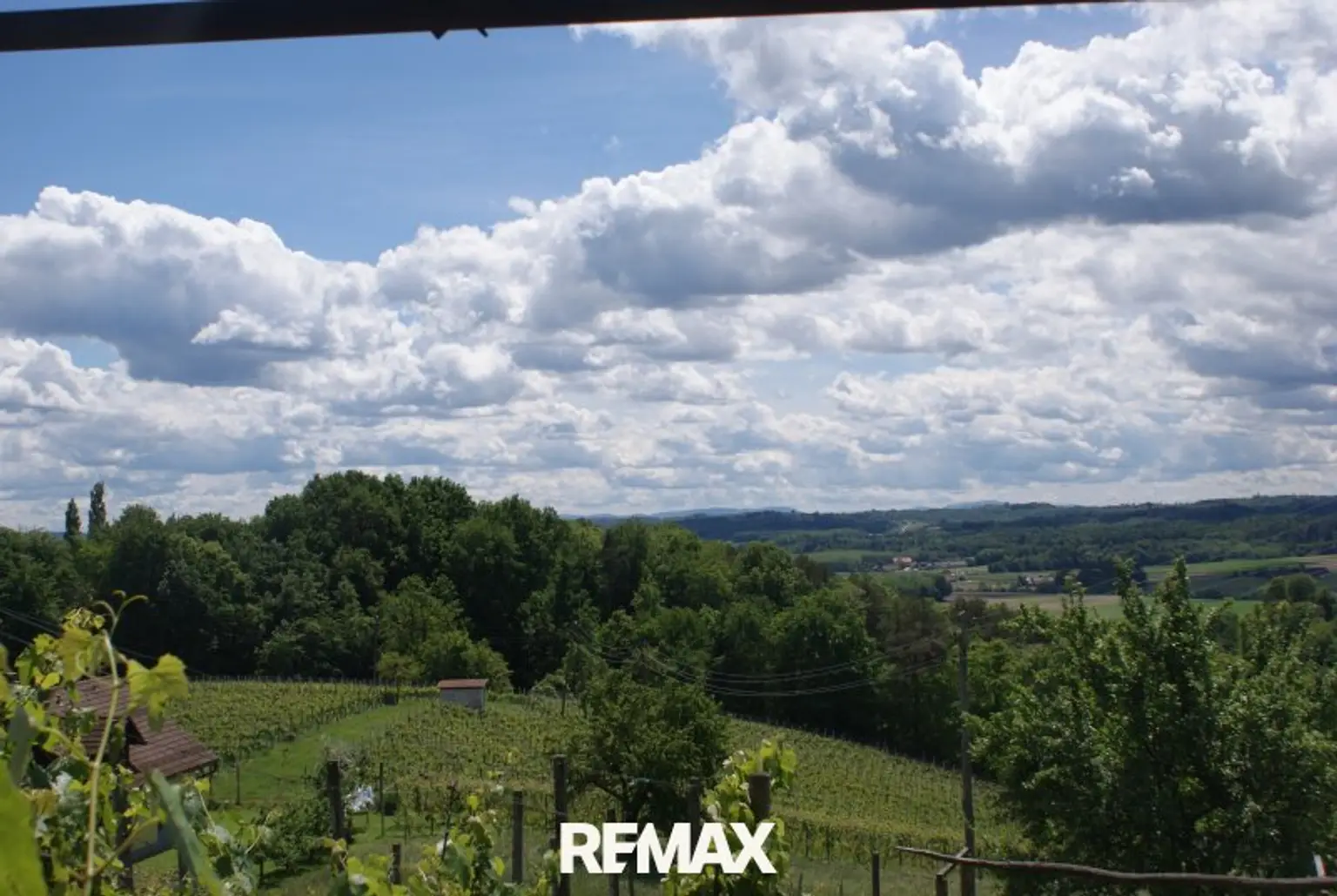 Weitblick
