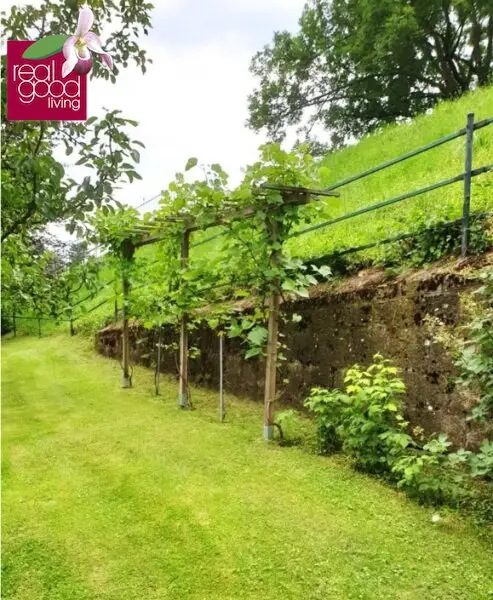Prestige-Villa in Wien-Mauer – 15 Zimmer, 3.700 m² Gartenparadies, vielseitig nutzbar -Büro & Wohnen vereinbaren !!