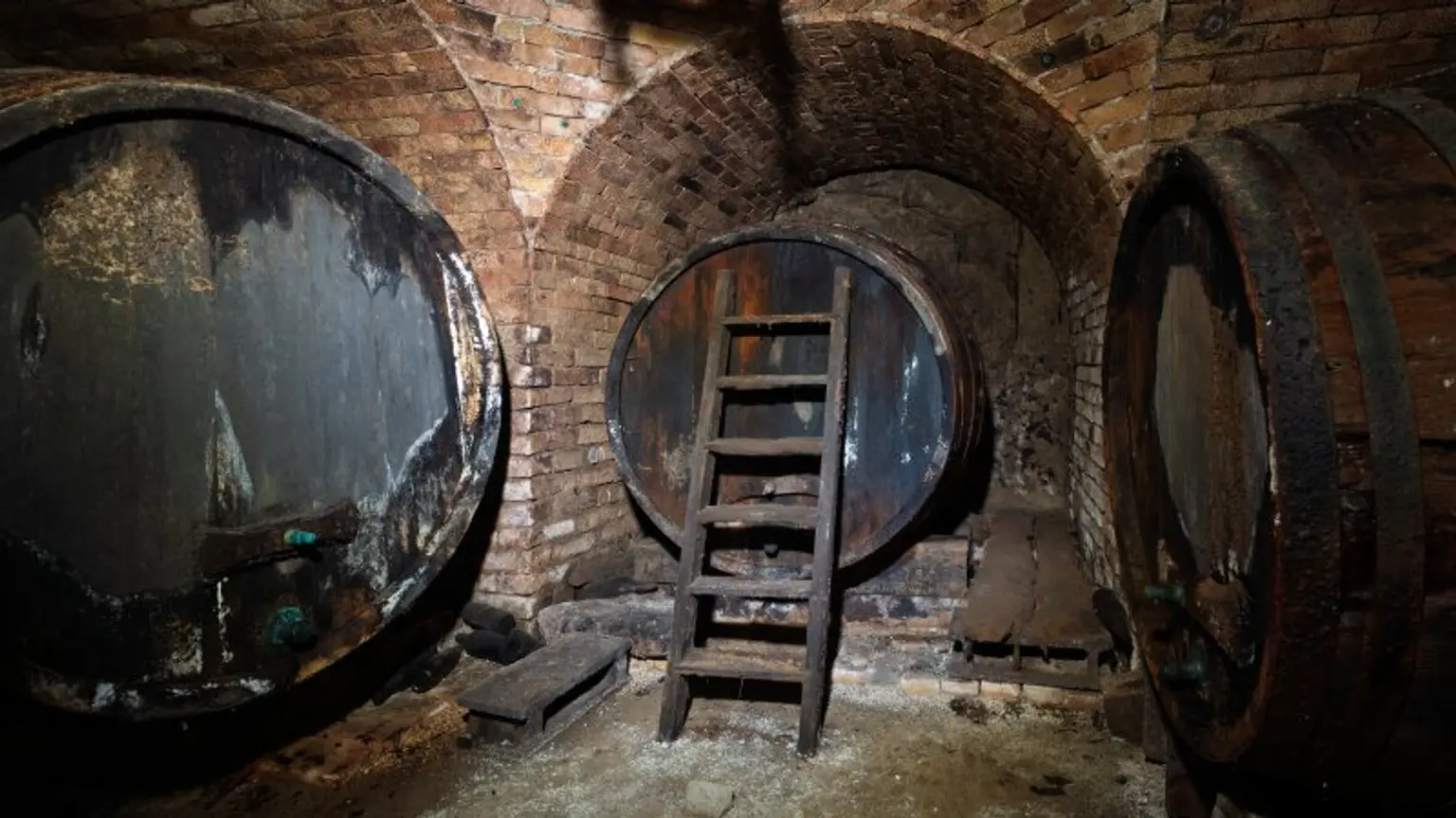 Potentialreiches Haus mit spitzen Weinkellerröhren in Groß-Schweinbarth