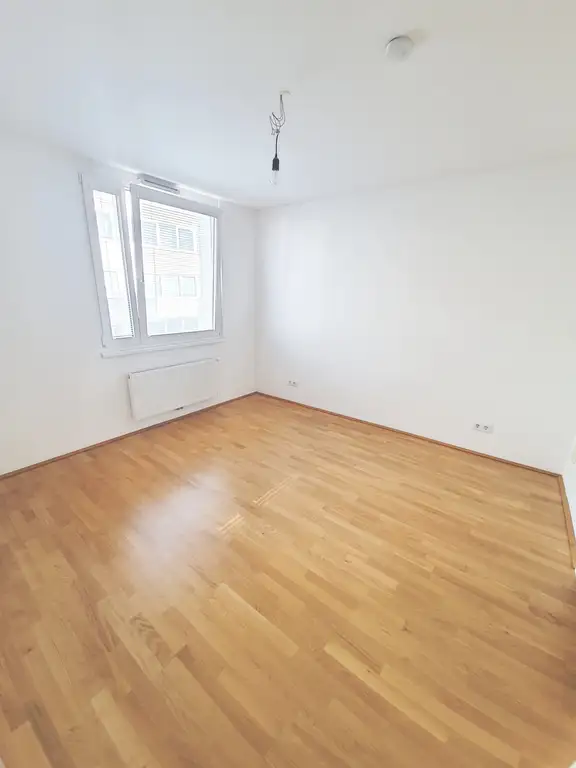 Zimmer