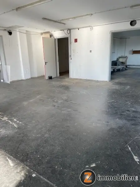 Nähe Oberwart: Große Halle/Gewerbeobjekt mit viel Nutzfläche!