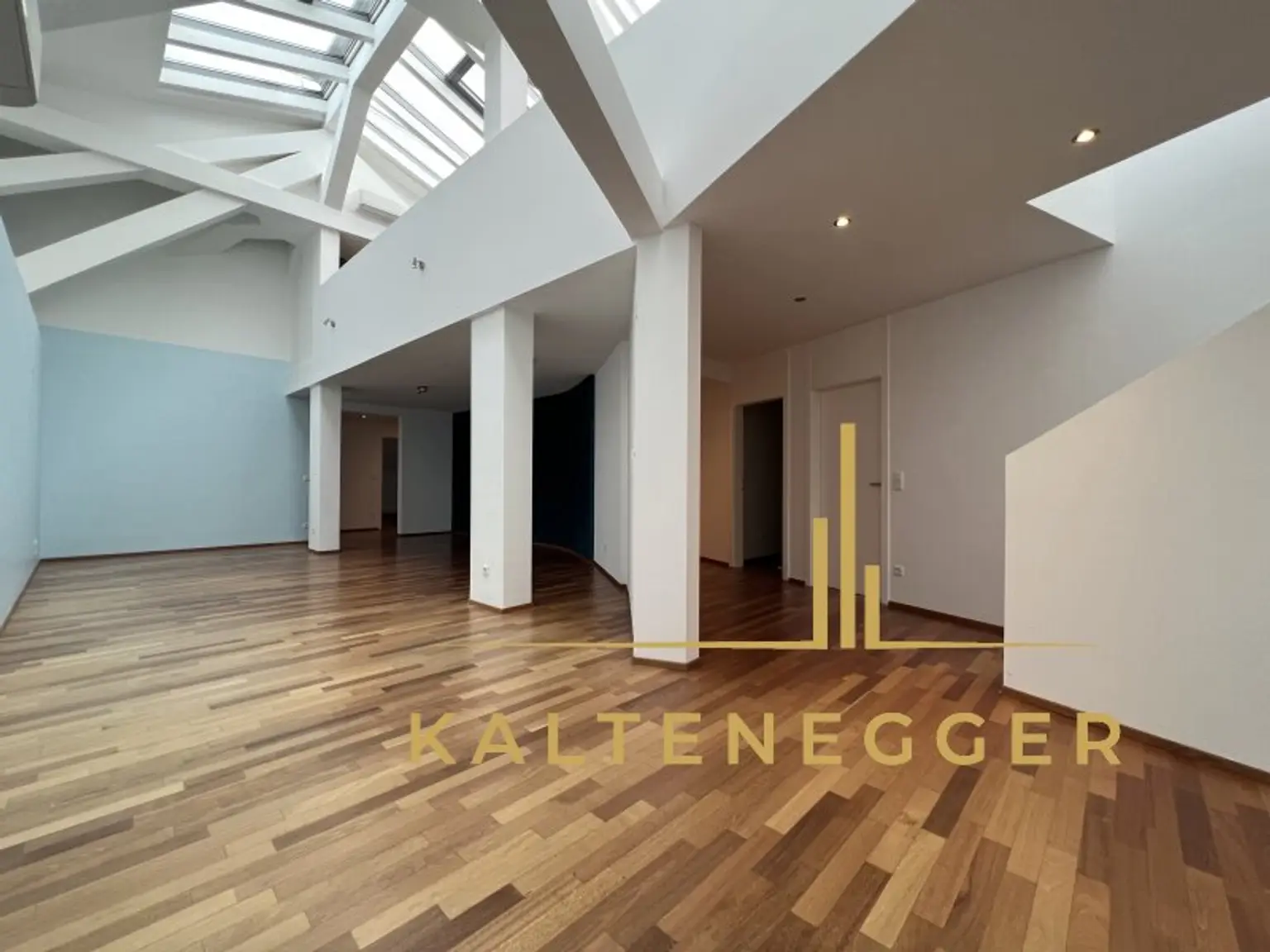 Außergewöhnliches DG-Büro am Nußdorfer Platz - mit Terrasse - mit STAFFELMIETE 6 € / m² am Beginn