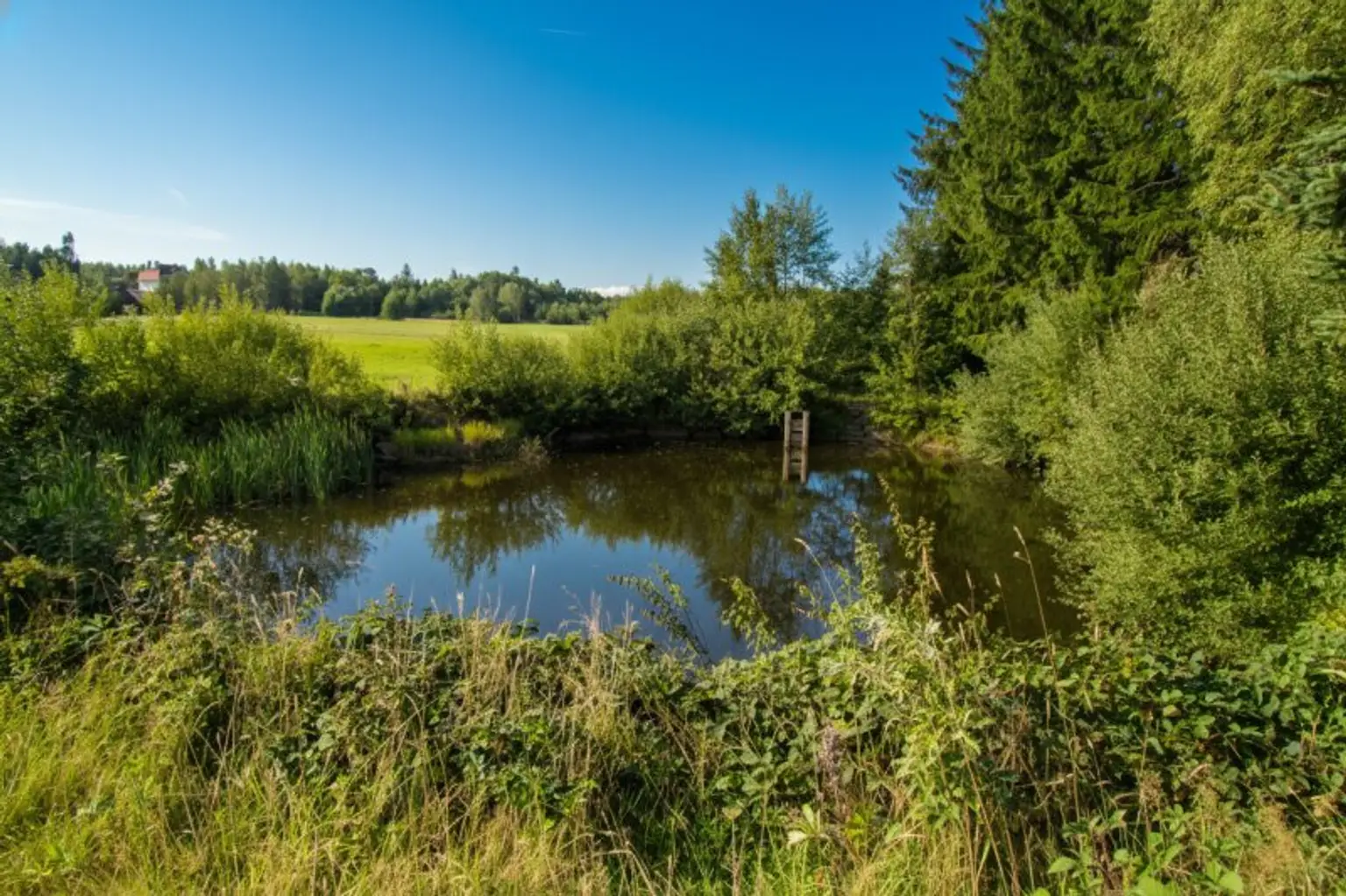 *****Fischteiche im nördlichen Waldviertel*****