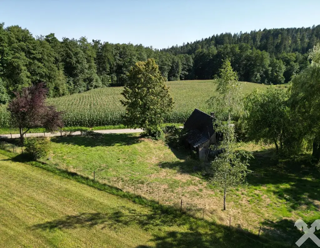 Idyllisch Leben - Grundstück mit altem Baumbestand