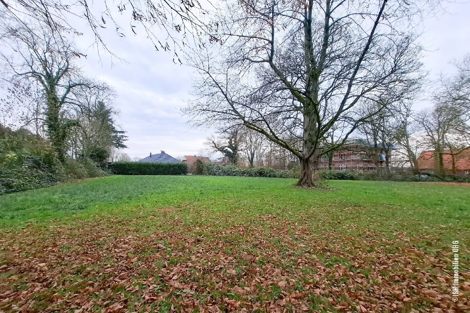 Grundstück Blick zur Hauptstraße