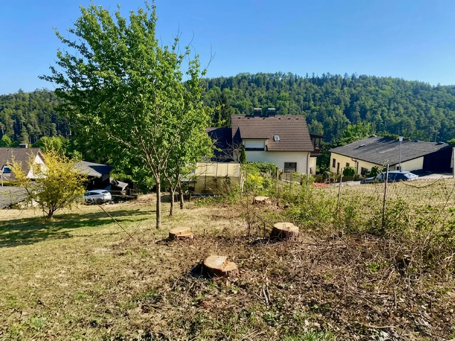 Ausblick auf gegenüberliegenden Wald