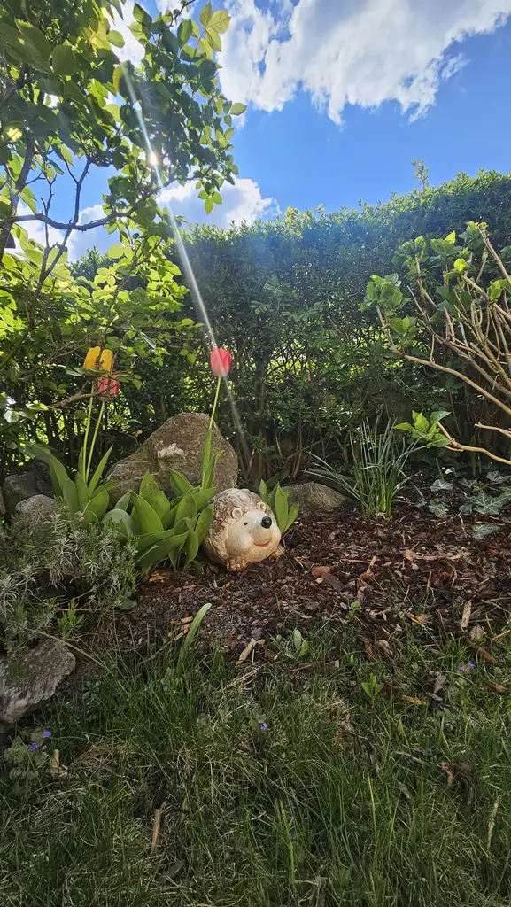 Gepflegtes Landhaus  / Appartementhaus