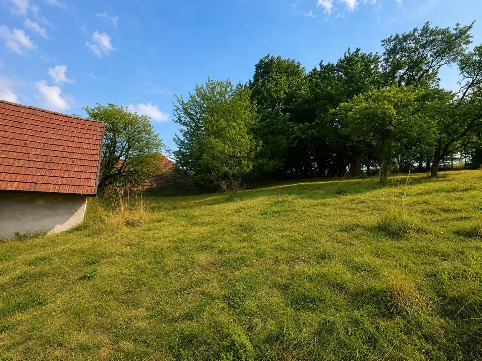 07 Garten