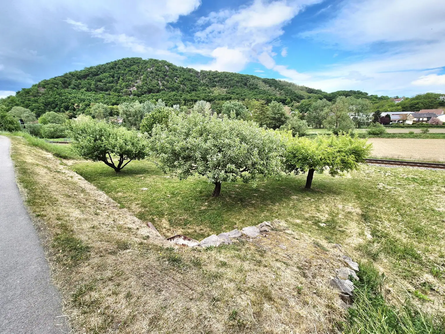 Garten I