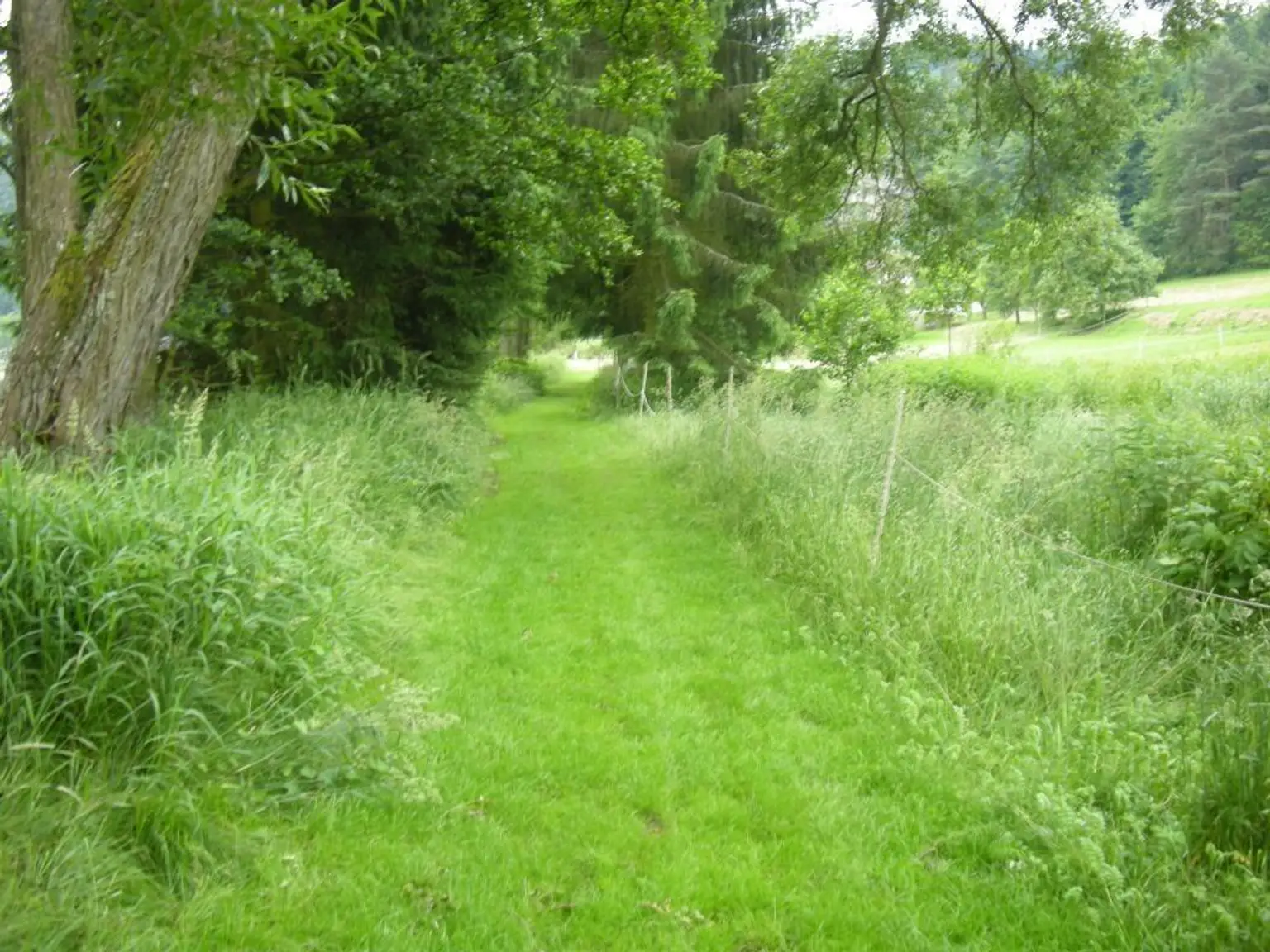 Zufahrt Privatstraße