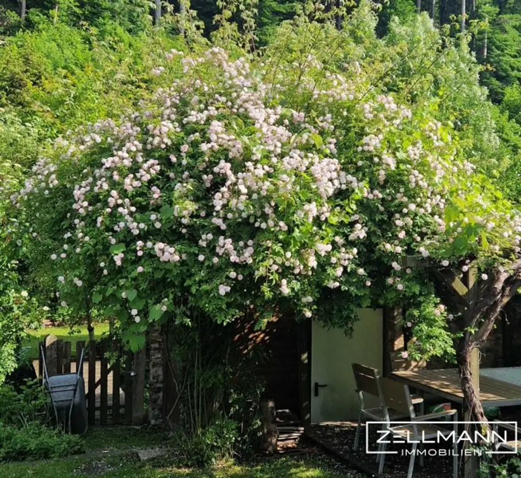 „Wohnen am Wienerwald: Charmantes Haus mit Erweiterungsmöglichkeiten“ | ZELLMANN IMMOBILIEN