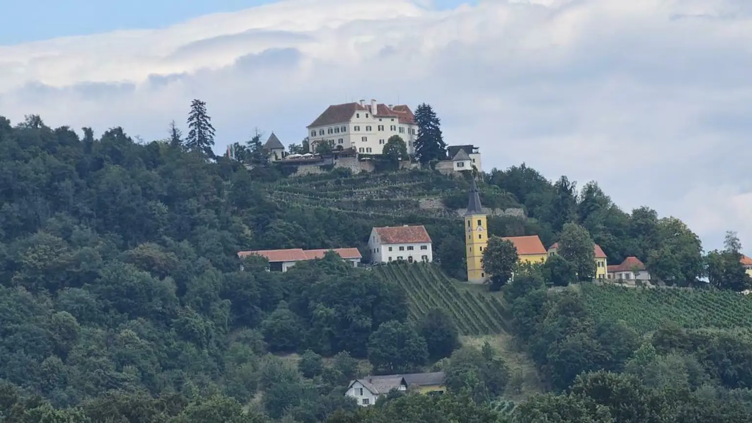 ** Geschmackvolles Zweifamilienwohnhaus - ca. 19ha LW-Fläche mit Wald ** unvergleichbarer Panoramablick auf Schloss Kapfenstein und das steirische Hügelland **