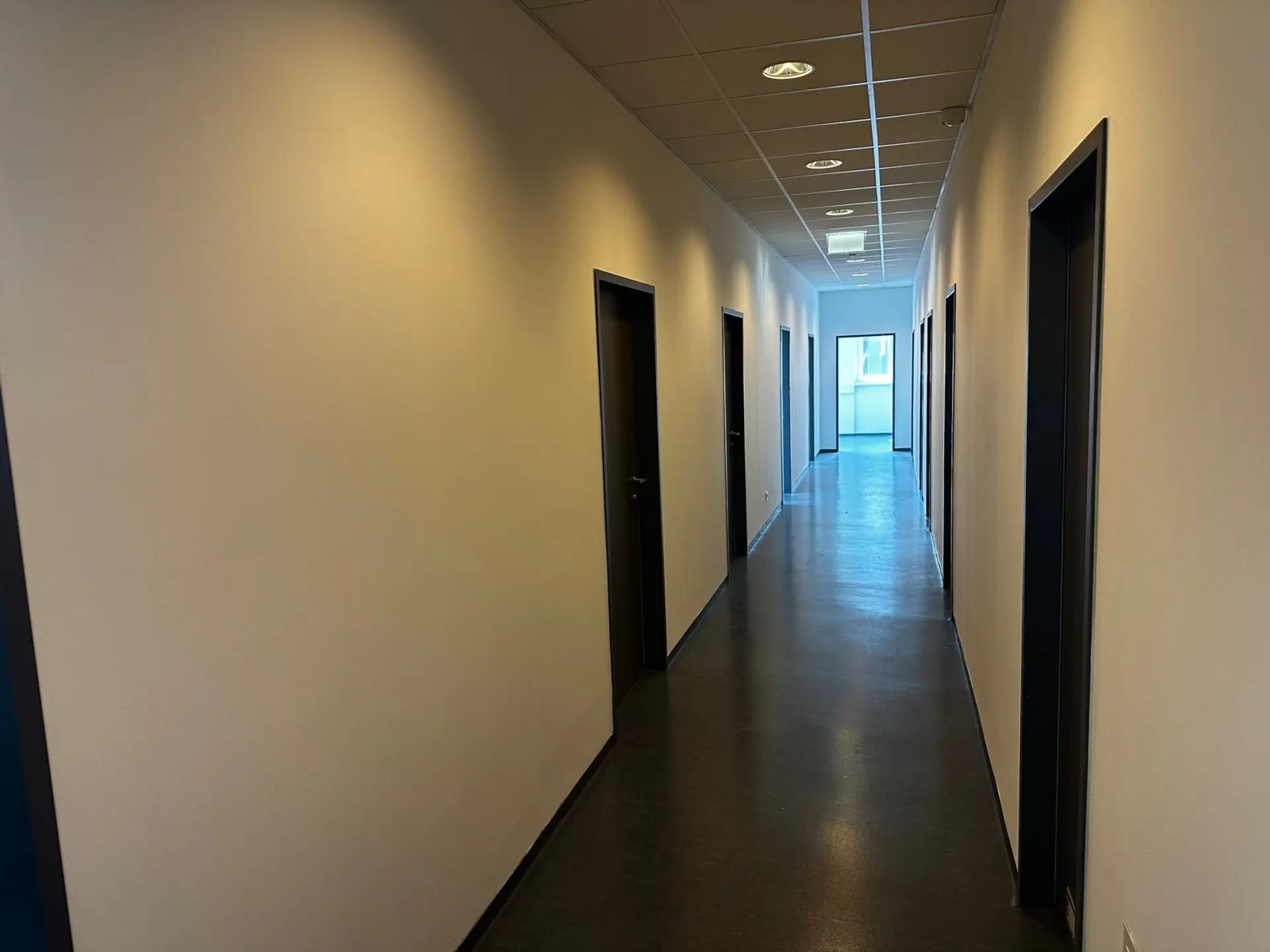 Bürofläche 1.OG